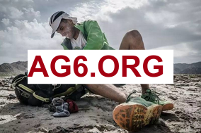 德甲看点场次：多特蒙德 vs 弗赖堡